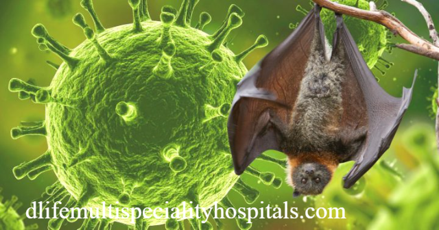 Mengenal Gejala Awal Virus Nipah
